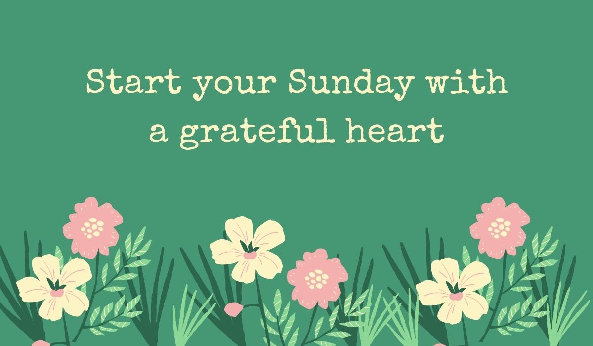 best-quotes-for-sunday-morning (2) Deep sage green card featuring a row of simple pink and cream wildflowers along the bottom, displaying typed, uplifting best quotes for sunday morning: "Start your Sunday with a grateful heart".