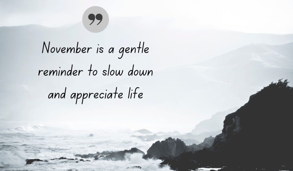 Atmospheric black and white coastal photograph of crashing ocean waves against rugged cliffs, centered with a dark gray quotation icon framing reflective inspirational quotes for the month of november: "November is a gentle reminder to slow down and appreciate life".