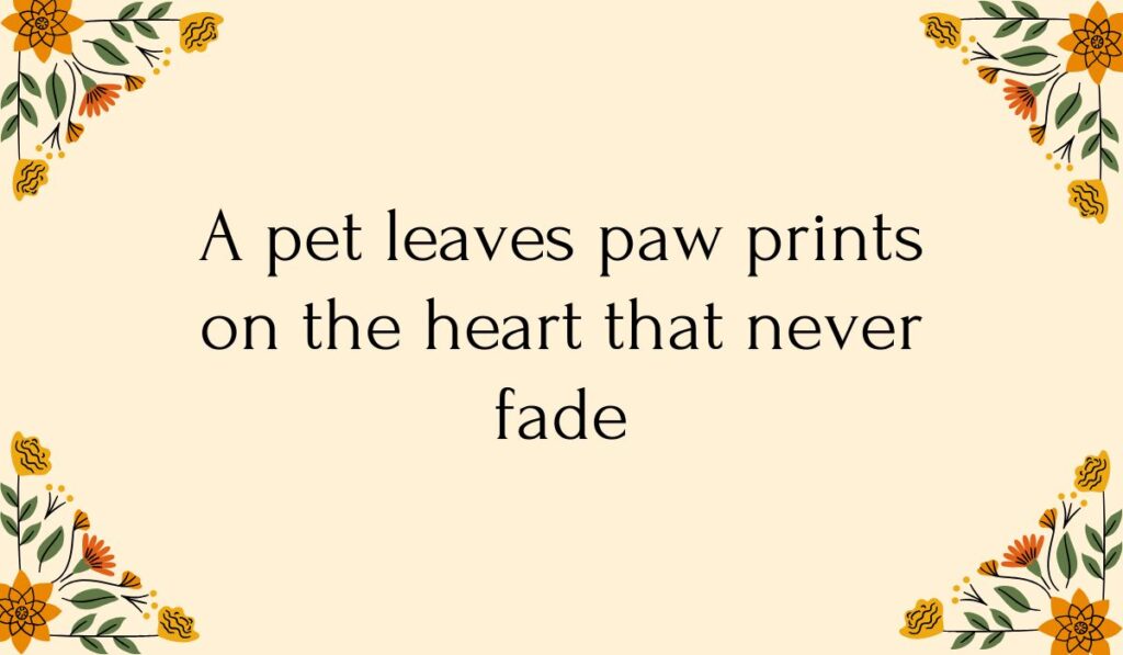 Cream-colored card decorated with colorful orange and yellow floral vine illustrations in each corner, featuring comforting short messages for loss of pet: "A pet leaves paw prints on the heart that never fade".