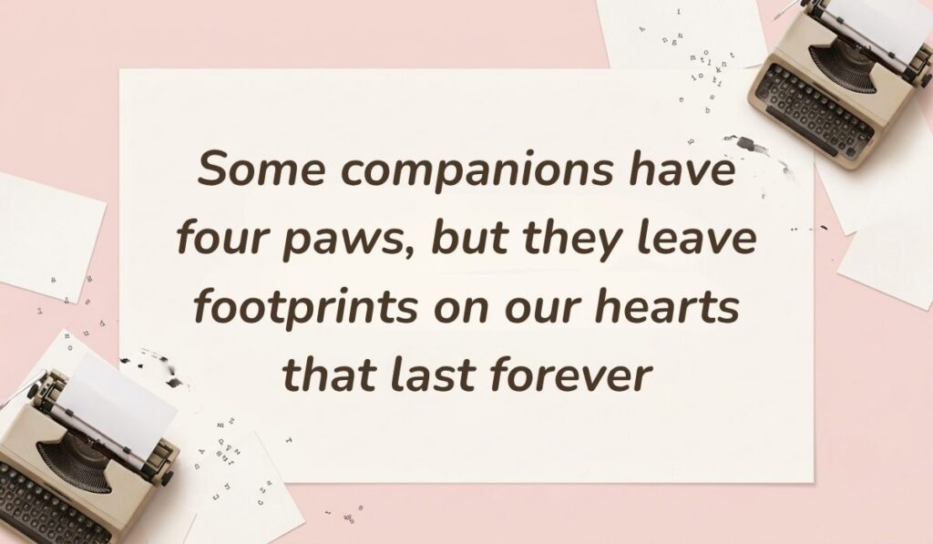 Soft pink background with vintage typewriters featuring good morning quotes for him reading, "Every morning feels more meaningful knowing that you are part of my life"